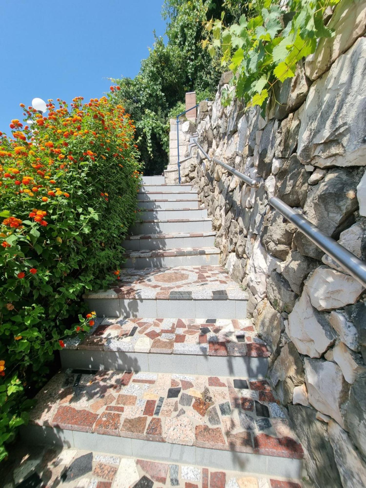 Apartmani Anda Zivogosce Bagian luar foto